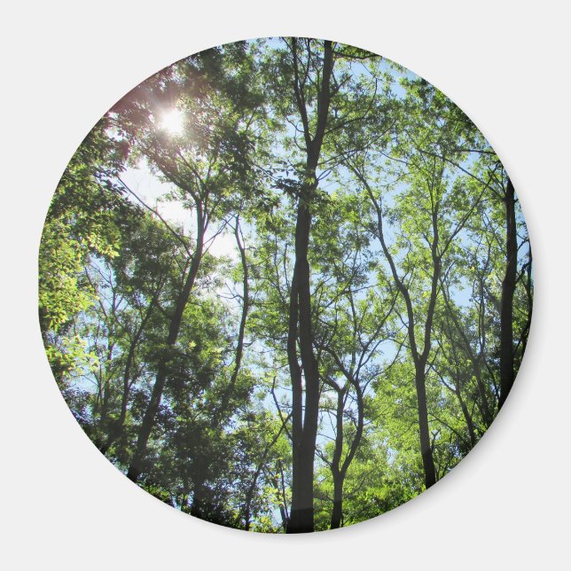 Aimant Coucher du soleil à travers l'aimant photo Arbres (Devant)