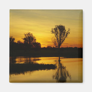 Aimant Coucher du soleil, Billabong d'eau jaune