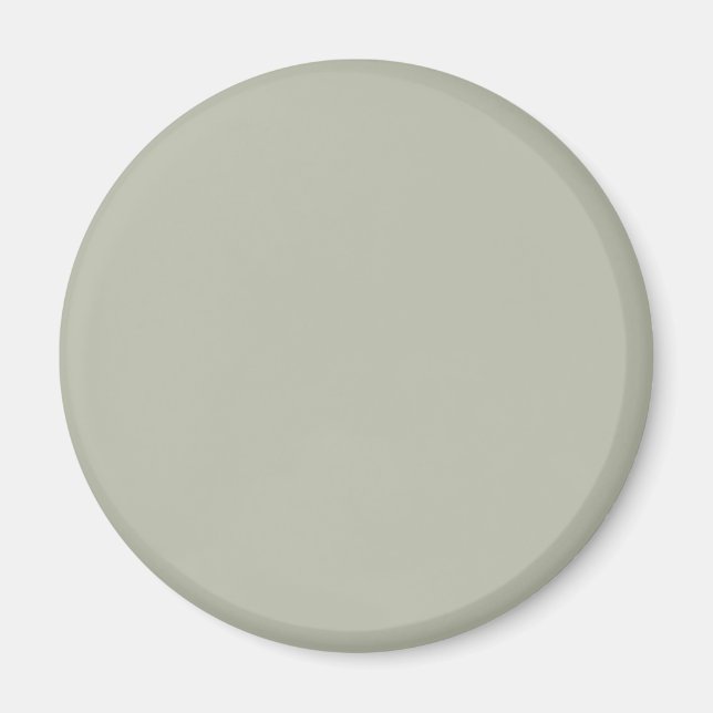 Aimant Couleur BABDAB gris cendré - Avec une option pour  (Devant)