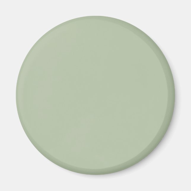 Aimant Couleur claire et verte (Devant)