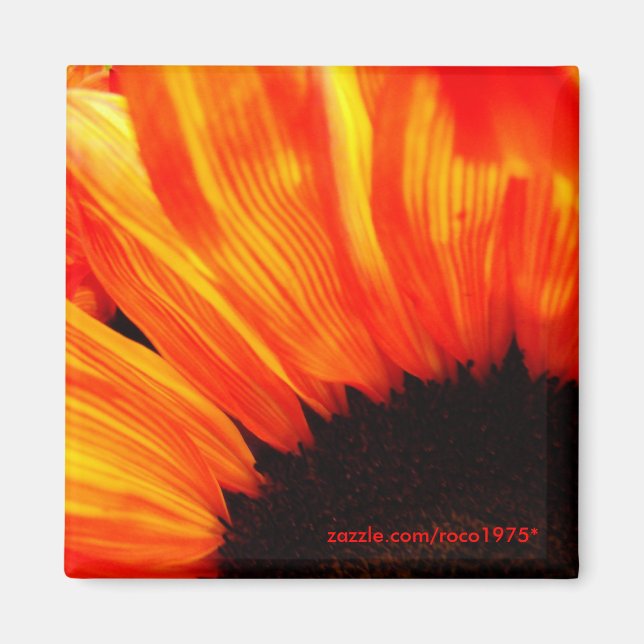 Aimant couleur de feu (Devant)