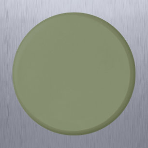 Aimant Couleur solide verte Sage