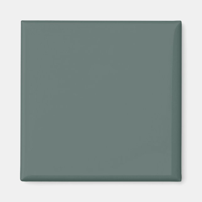 Aimant Couleur Uni Vert Neutre Froid 2026 COTY (Devant)