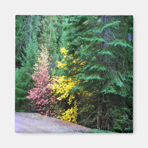 Aimant Couleurs automnales dans les montagnes....