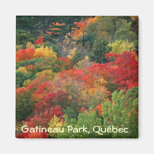 Aimant Couleurs d'automne dans le parc de la Gatineau (Devant)