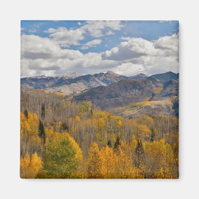 Aimant Couleurs d'automne des trembles et des chênes Keeb (Devant)