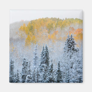 Aimant Couleurs d'automne des trembles et neige fraîche K