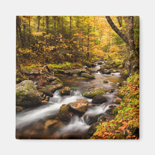 Aimant Couleurs d'automne Jefferson Brook Montagnes Bla
