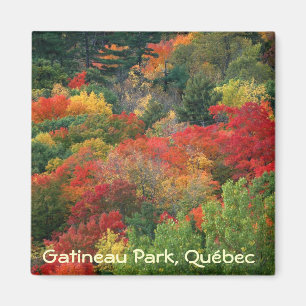 Aimant Couleurs de chute en parc de Gatineau