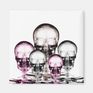 Aimant Couleurs mixtes Skeletons de vision à rayons X