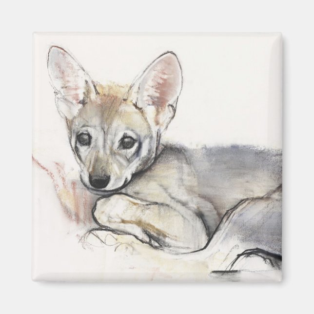 Aimant Coupe de loup d'Arabie de curling 2009 (Devant)