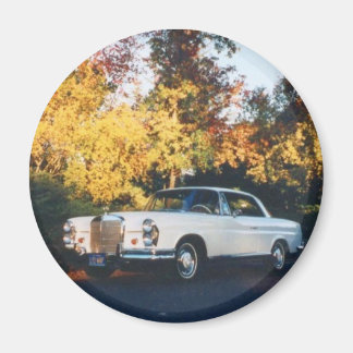 Aimant Coupe Mercedes-Benz 220SEb 1965