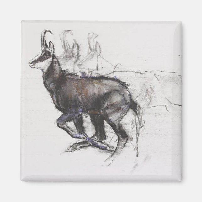 Aimant Coureur Chamois (Devant)