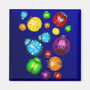 Aimant Coussin d'insecte de couleur