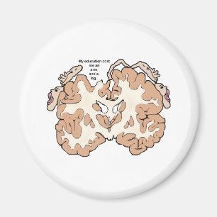 Aimant Coût d'un bras et d'une jambe homunculus