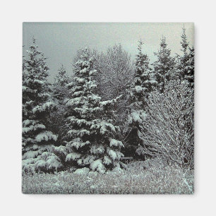 Aimant Couverture d'aimant de neige