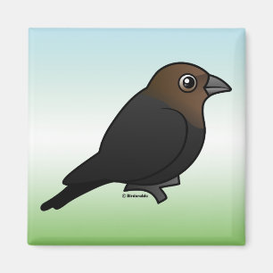 Aimant Cowbird Brun-dirigé