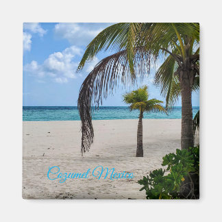 Aimant Cozumel Mexico