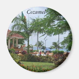Aimant Cozumel Tropical Palm Tree