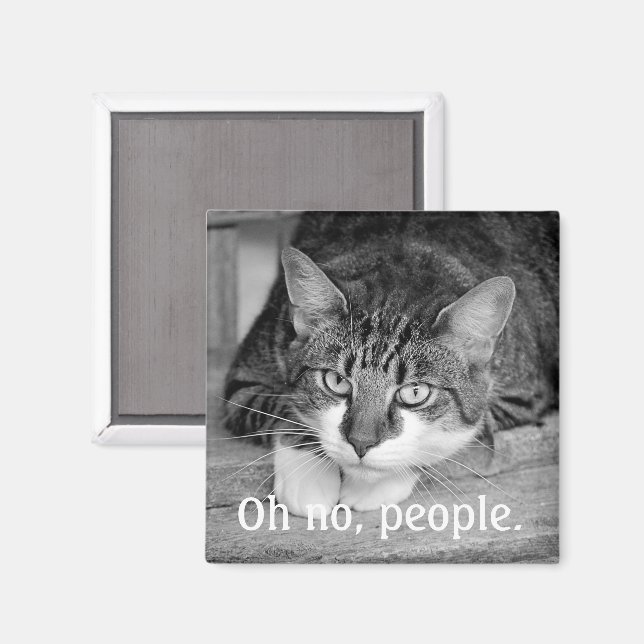 Aimant Crabby Cat, "Oh non, les gens." (Recto/Verso)