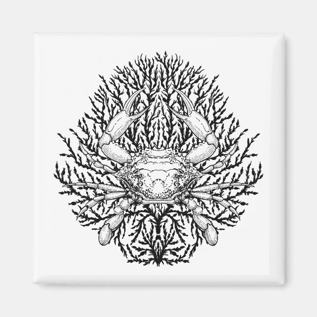 Aimant Crabe (Devant)