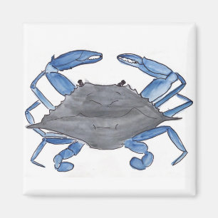 Aimant Crabe bleu 