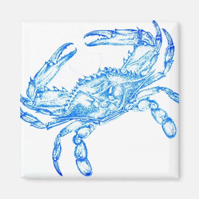 Aimant crabe bleu vintage (Devant)