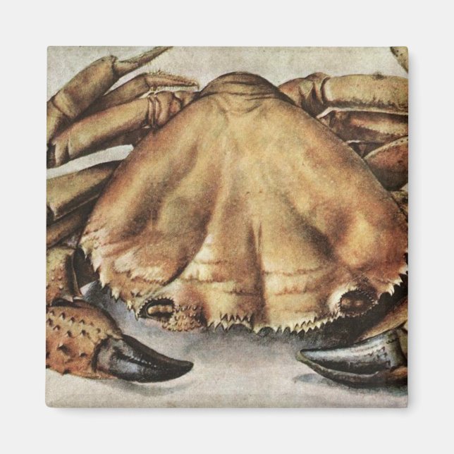 Aimant Crabe (Créature sous la mer) (par Albrecht Durer) (Devant)