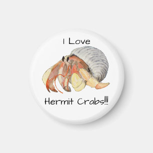Aimant Crabe hermite