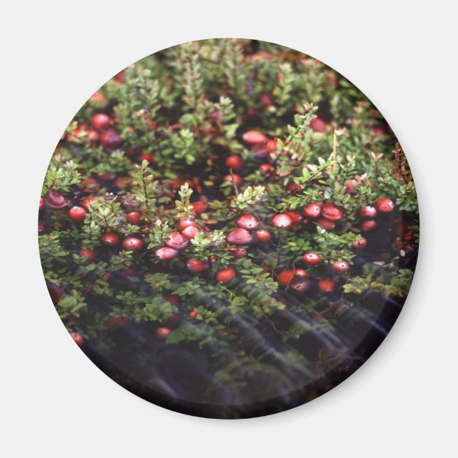 Aimant Cranberry Bog (Devant)