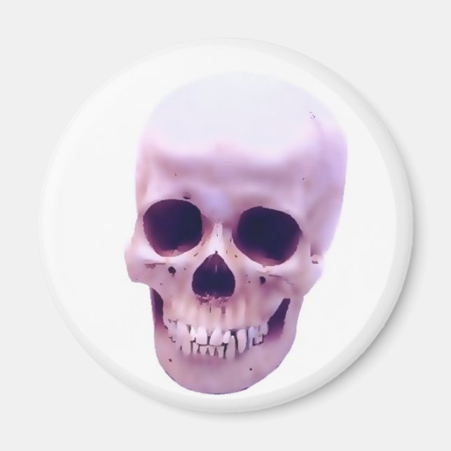 Aimant Crâne (Devant)