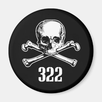 Aimant Crâne et os 322