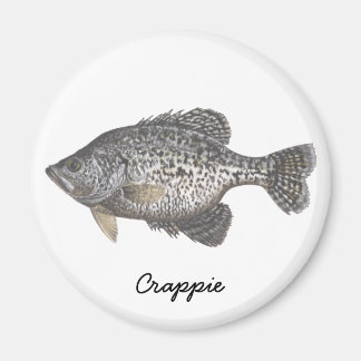 Aimant CRAPPIE, Crappie