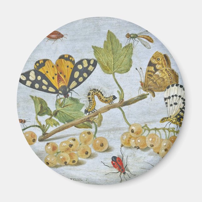 Aimant Crawling d'insectes (Devant)