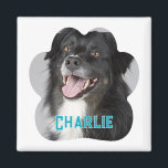 Aimant Créez votre propre photo de chien animal de compag<br><div class="desc">Voici l'aimant photo Create Your Own Pet Dog, la façon parfaite de présenter votre ami adoré en fureur partout où vous allez! Personnalisez votre aimant avec une photo préférée de votre chien, magnifiquement monogrammée avec leur nom. Cet accessoire polyvalent est idéal pour afficher fièrement sur votre voiture, réfrigérateur ou lave-vaisselle,...</div>
