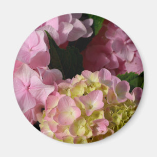 Aimant Crème rose Hydrangeas jaune rose vert floral