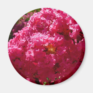 Aimant Crepe Myrtle Tree Magenta Floral