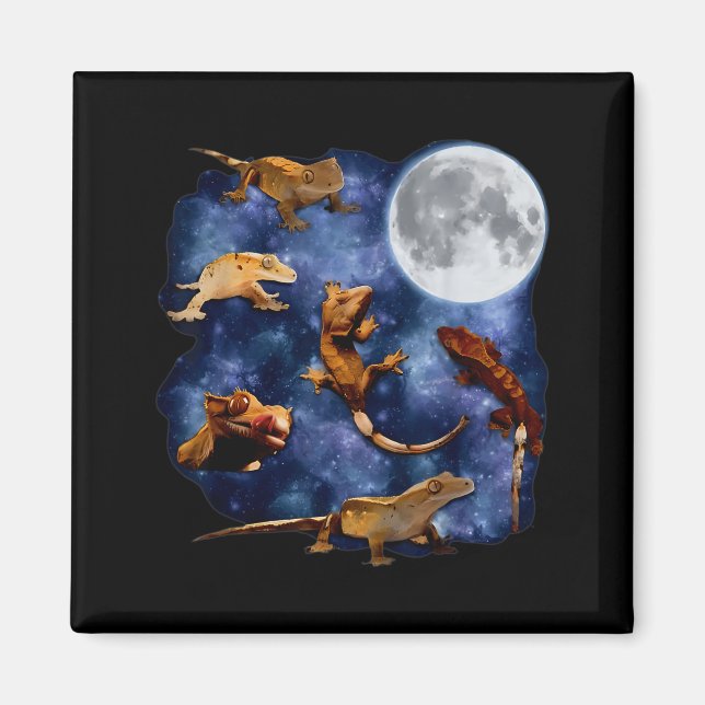 Aimant Crested Gecko Moon Retro Reptile Mom Dad Breeder L (Devant)