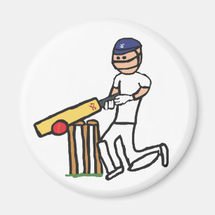Aimant Cricket