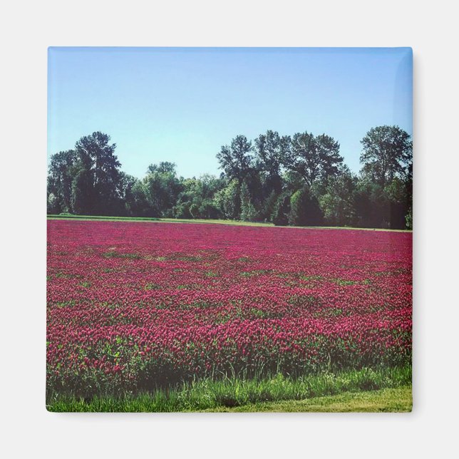 Aimant Crimson Clover Field, Oregon (Devant)