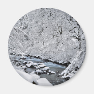 Aimant Crique blanche moelleuse pittoresque, Oregon