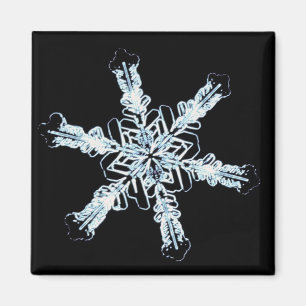 Aimant Cristal stellaire de neige