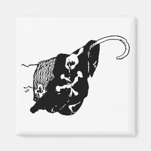 Aimant Crochet de pirate