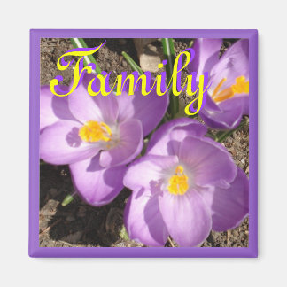 Aimant crocusfamilyaimnet