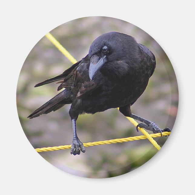 Aimant Croisement à Crossroads (Devant)