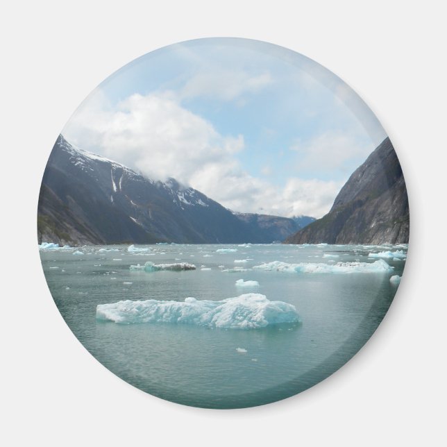 Aimant Croisière de l'Alaska à l'intérieur du passage (Devant)