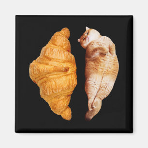 Aimant Croissant