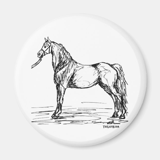 Aimant Croquis simple Morgan Horse (Devant)