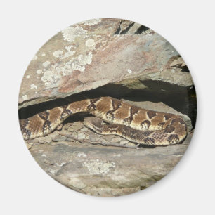 Aimant Crotale dans le parc national de Shenandoah