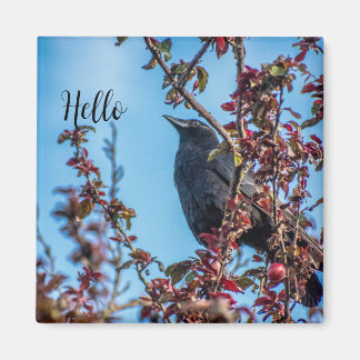 Aimant Crow Says Hello 